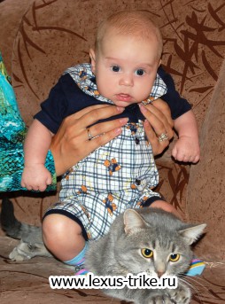 Фотоконкурс Я люблю РичТойз